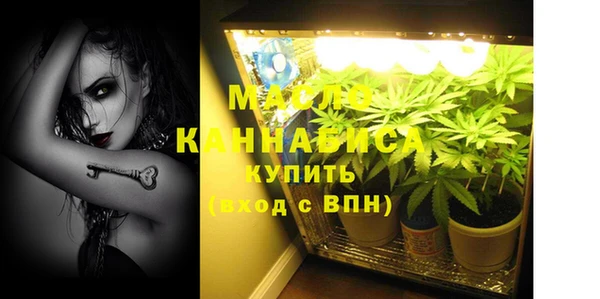 молекула духа Бородино