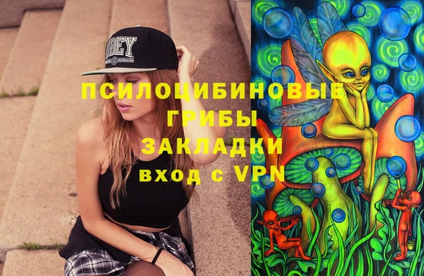 молекула духа Бородино