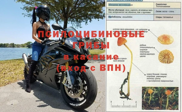 молекула духа Бородино