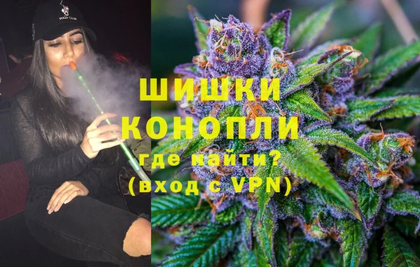 молекула духа Бородино