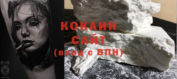 молекула духа Бородино