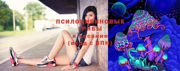 молекула духа Бородино
