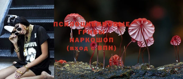 молекула духа Бородино