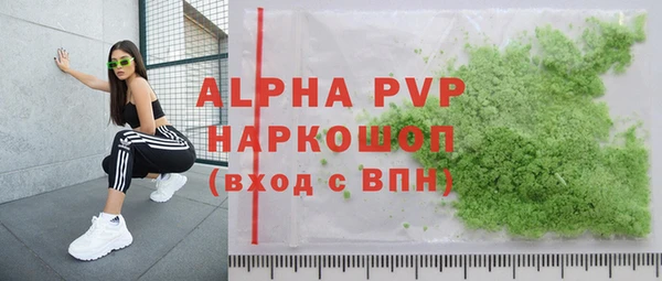 молекула духа Бородино