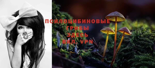 молекула духа Бородино