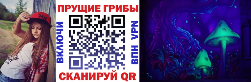 Купить где  Менделеевск  Псилоцибиновые грибы прущие грибы 